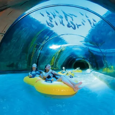 Paradise Found, Golf Del Sur San Miguel de Abona